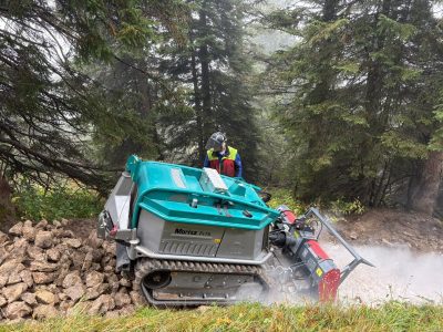 StoneCrusher Trail Restoration Forest Roads Radio-Controlled Crawler