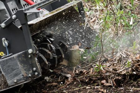 PTH MicroCrusher PTO Gehölz fräsen Holz fräsen Baum fräsen Forstfräse forestry tiller